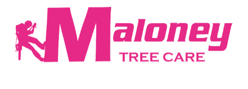 Maloney Tree Care